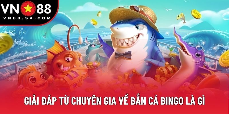 Giải đáp từ chuyên gia về bắn cá Bingo là gì Giải đáp từ chuyên gia về bắn cá Bingo là gì